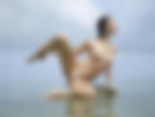 Kuva #8 galleriasta Flora esillä