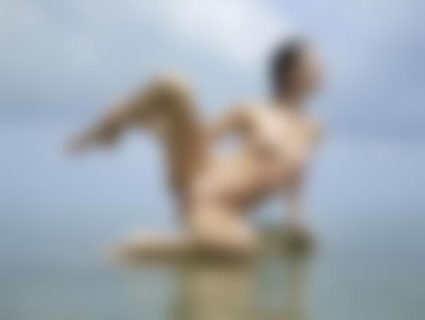 Kuva #9 galleriasta Flora esillä