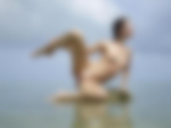 Kuva #11 galleriasta Flora esillä