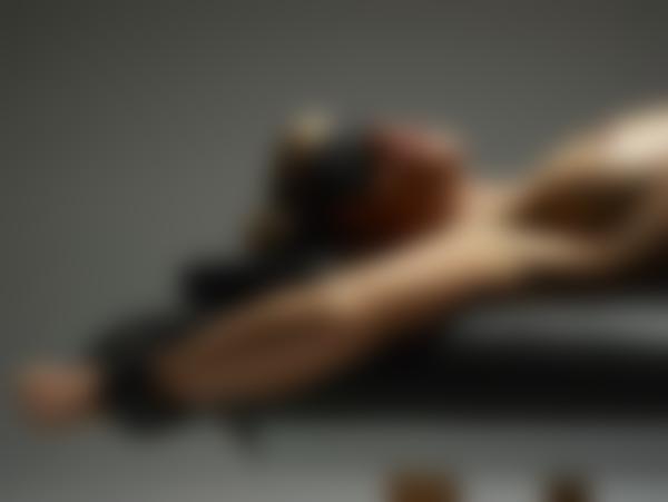 图片 #10 来自画廊 莱拉克制